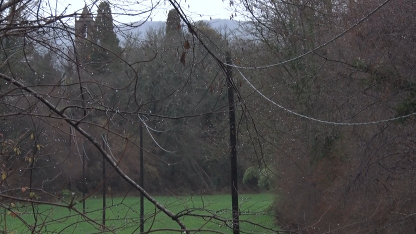 "Estem emprenyats, en algunes zones de Sant Feliu el manteniment de les línies elèctriques no és digne del segle XXI"