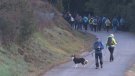 Més d’un centenar de persones han participat a la Ruta de la Feixina de Beuda