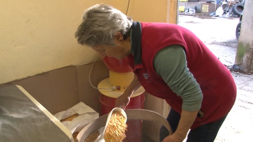 L’ànima de la Fira del Farro de la Vall de Bianya veu difícil el futur de la pagesia si les administracions no ajuden