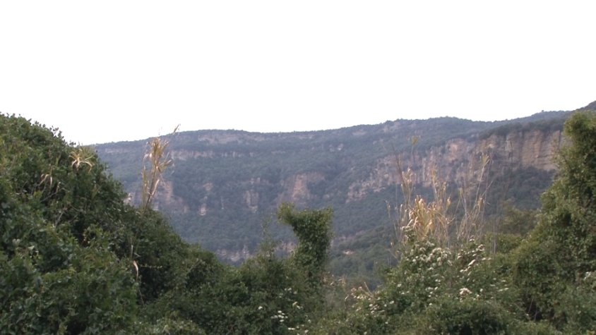 L’alcalde de Sant Aniol de Finestres diu que els ajuntaments haurien de tenir poder de decisió sobre si un propietari fa gestió forestal o no