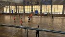 Tres gols en els primers dos minuts de partit condemnen a l’Hoquei Olot (5-2)
