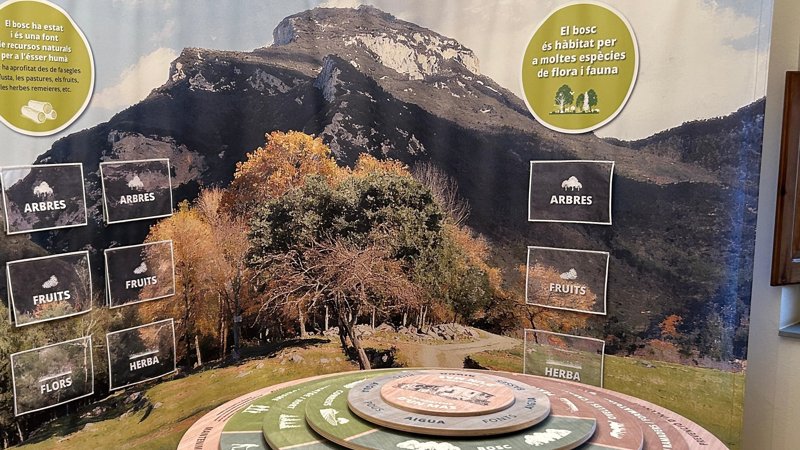 Una exposició necessària de veure a la rectoria de Sadernes per comprendre i tractar millor l'Alta Garrotxa