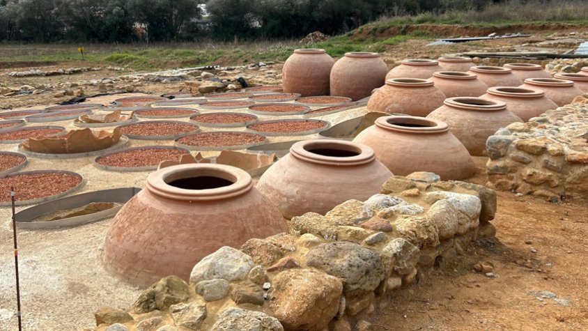 El jaciment de Can Ring descobreix el passat vinícola del Besalú romà