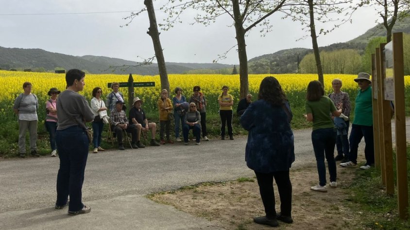 El Jaciment de la Dou avança cap a la museïtzació amb uns plafons explicatius