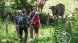 El Garrotxa Volcànic Walking enceta la seva vuitena edició aquest cap de setmana