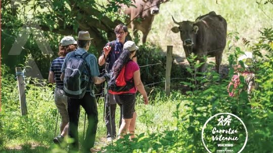 El Garrotxa Volcànic Walking enceta la seva vuitena edició aquest cap de setmana