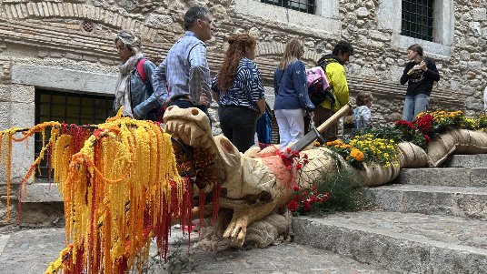 Alumnes de Jardineria de l’INS Garrotxa i de Decoració de l’Escola d’Art d’Olot exposen al Temps de Flors