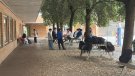Idees clares amb el desig de superar les PAU