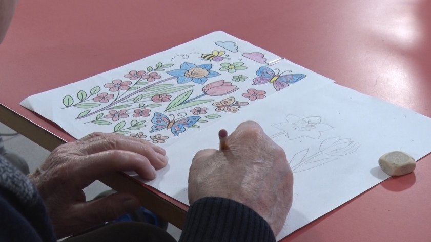 Consell Comarcal de la Garrotxa i Ajuntament d’Olot demanen a les administracions superiors una regularització pel que fa a les contractacions amb millors condicions per a les cuidadores